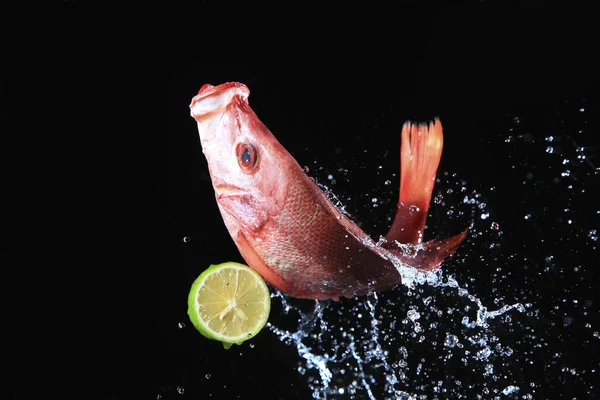 Pescado fresco con limón —  Fotos de Stock