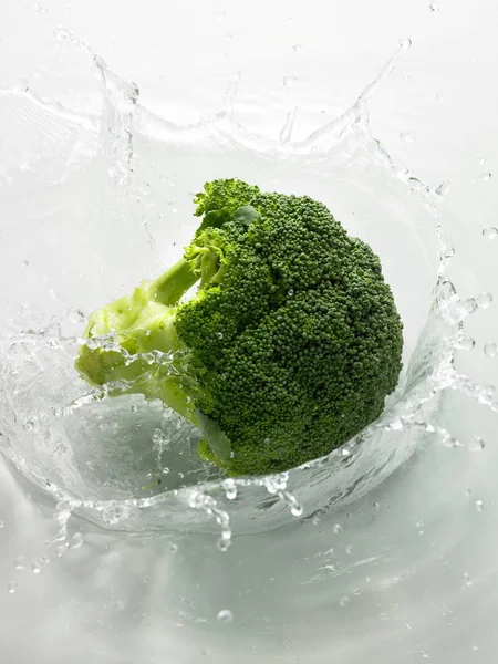 Brokoli hijau matang — Stok Foto