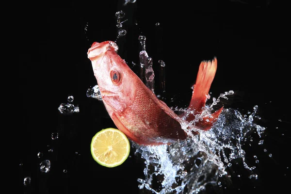 Pescado fresco con limón —  Fotos de Stock