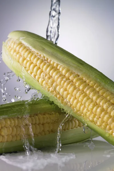 Sweet corn ears — Stock Photo, Image