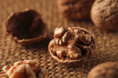 Ceviz kumaş malzeme üzerinde 