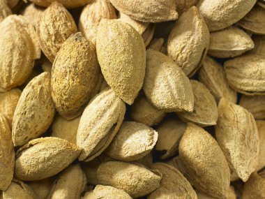 Badem fındık kabuklarında