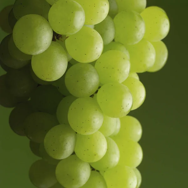 Uvas blancas frescas — Foto de Stock
