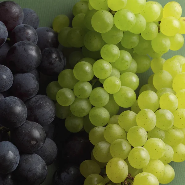 Uvas rojas y blancas frescas — Foto de Stock