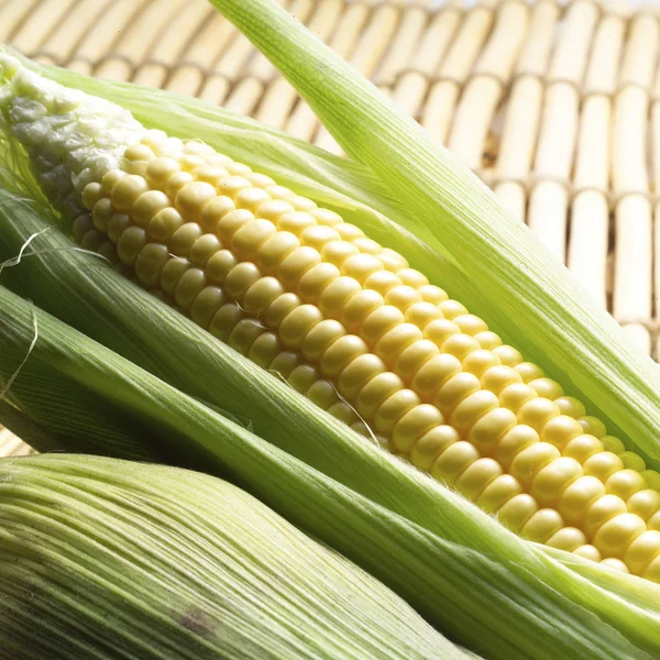 Bautiful fresh corn — Stock Photo, Image