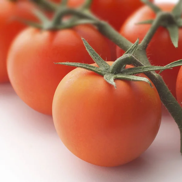 Fresh ripe tomatoes — Stock Photo, Image