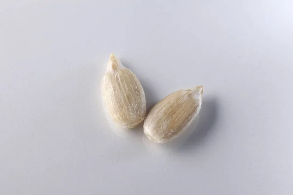 Grupo de semillas de girasol —  Fotos de Stock