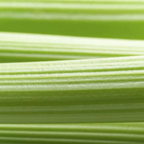 Aipo verde fresco — Fotografia de Stock