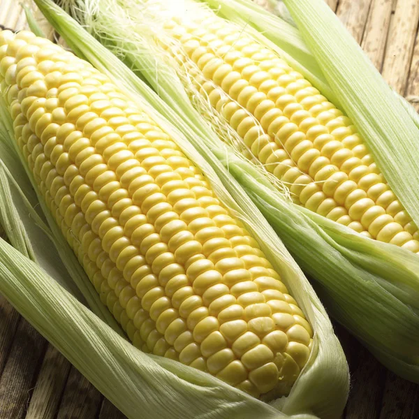 Fresh corn cobs — Stock Photo, Image