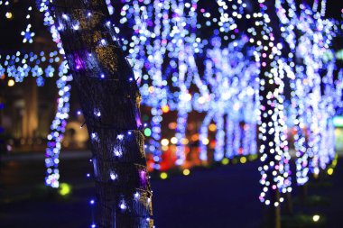 güzel Noel dekorasyon