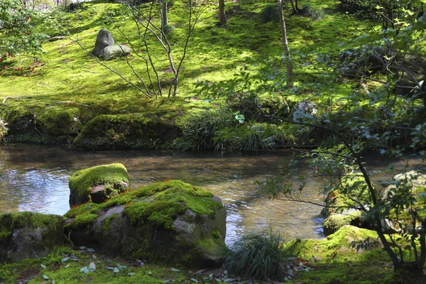 Wunderschöne Naturlandschaft — Stockfoto