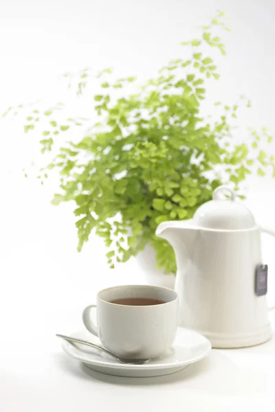 Çay bardağı ile masada çaydanlık — Stok fotoğraf