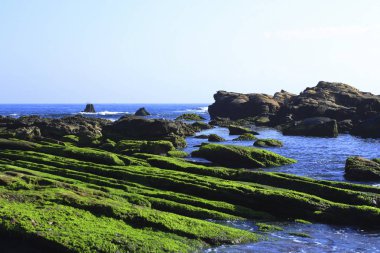 Taşlar ile muhteşem deniz kıyısı
