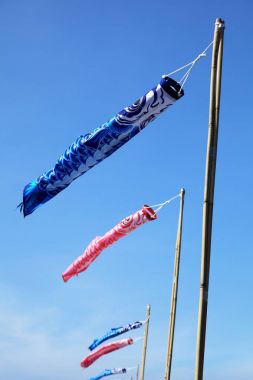 Japon festival sallayarak bayrakları