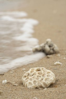 Taşlar ile muhteşem deniz kıyısı