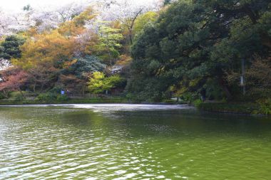 Şaşırtıcı doğa manzara 