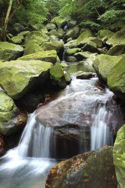 Şaşırtıcı doğa manzara 