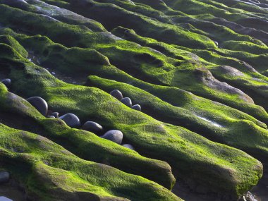 Taşlar ile muhteşem deniz kıyısı