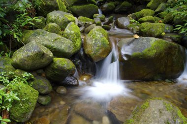 Şaşırtıcı doğa manzara 