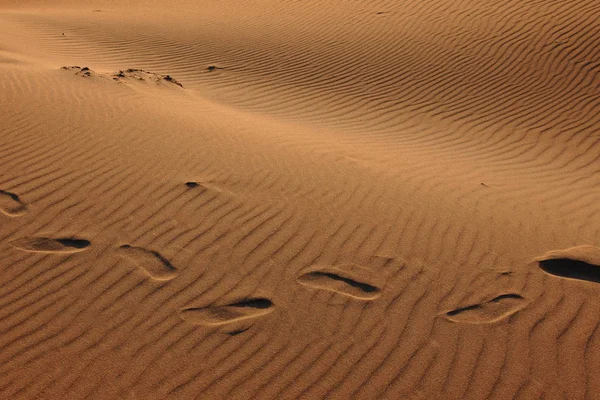 Pegadas em deserto arenoso vazio — Fotografia de Stock