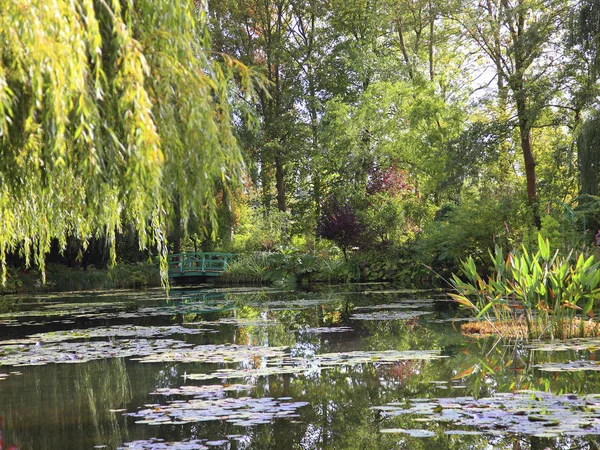 Teich und Bäume im Park — Stockfoto