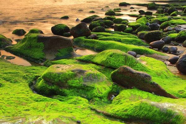 Удивительное побережье с камнями — стоковое фото
