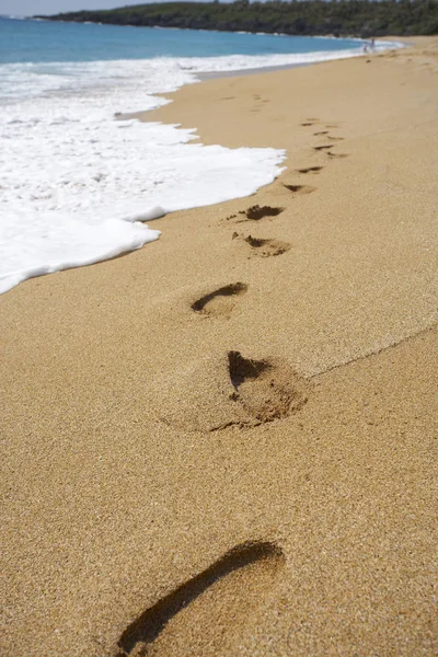 Fußabdrücke an der sandigen Meeresküste — Stockfoto