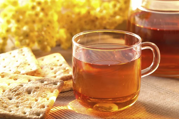 Çay bardağı ile kraker — Stok fotoğraf