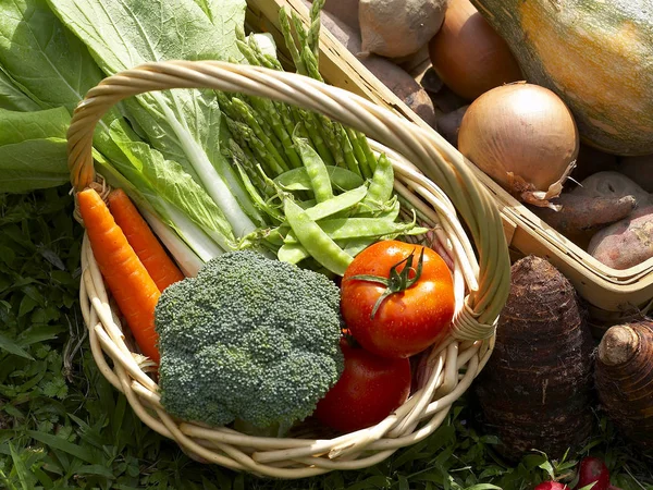 Légumes bio dans des paniers en bois — Photo