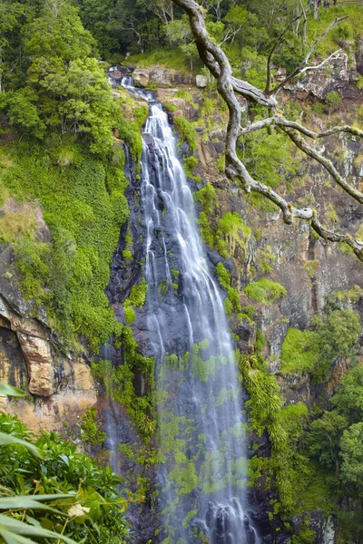 Big waterfall in jungle