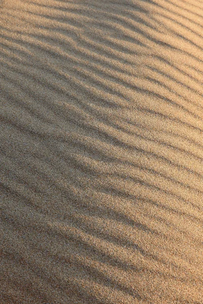 Pusty pustynia piaszczysta — Zdjęcie stockowe