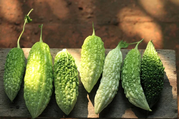 Melones amargos verdes — Foto de Stock