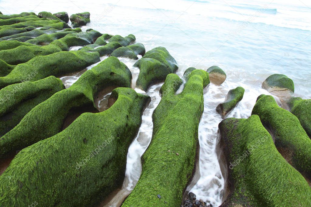 Amazing seashore with stones