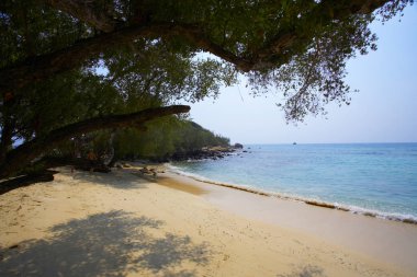 Denizde tropikal kumlu plaj