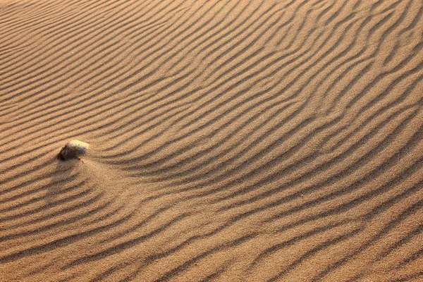 Prázdné písečná poušť — Stock fotografie