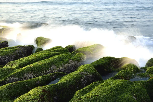 Удивительное побережье с камнями — стоковое фото