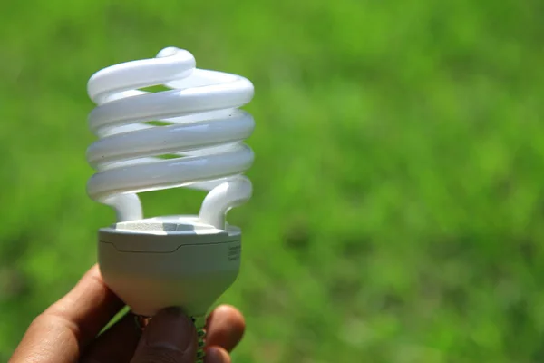 Hand holding energy efficient lightbulb