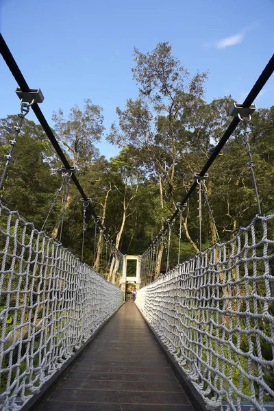 Ponte de suspensão na floresta verde — Fotografia de Stock