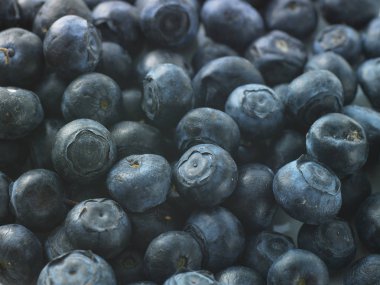 tatlı yabanmersini arka plan