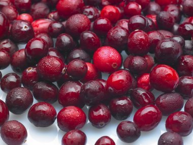 Kırmızı kızılcık arka plan 