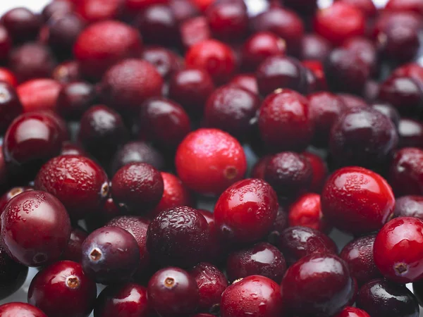 Latar belakang cranberry merah — Stok Foto