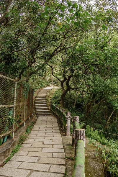 Escadaria em bela floresta verde — Fotografia de Stock