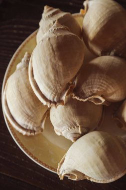 plaka üzerinde ahşap masa içinde kabuklar