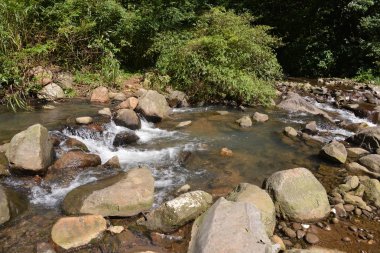 dağ dere tropikal orman