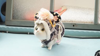 şirin kedi dekorasyon