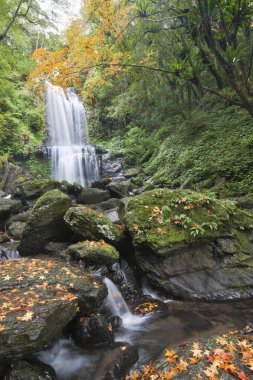 Yunsen şelale Sansia İlçesi