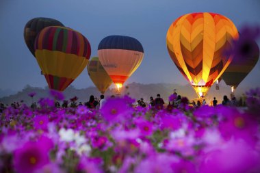 sıcak hava balonları çiçekli