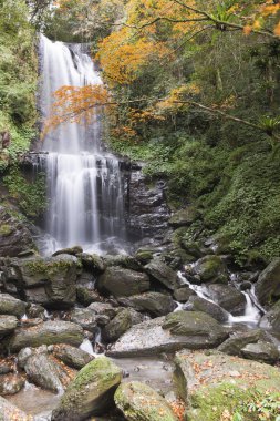 Yunsen şelale Taipei County