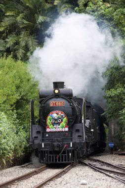 Siyah itme-çekme tren