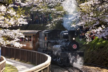 Siyah itme-çekme tren